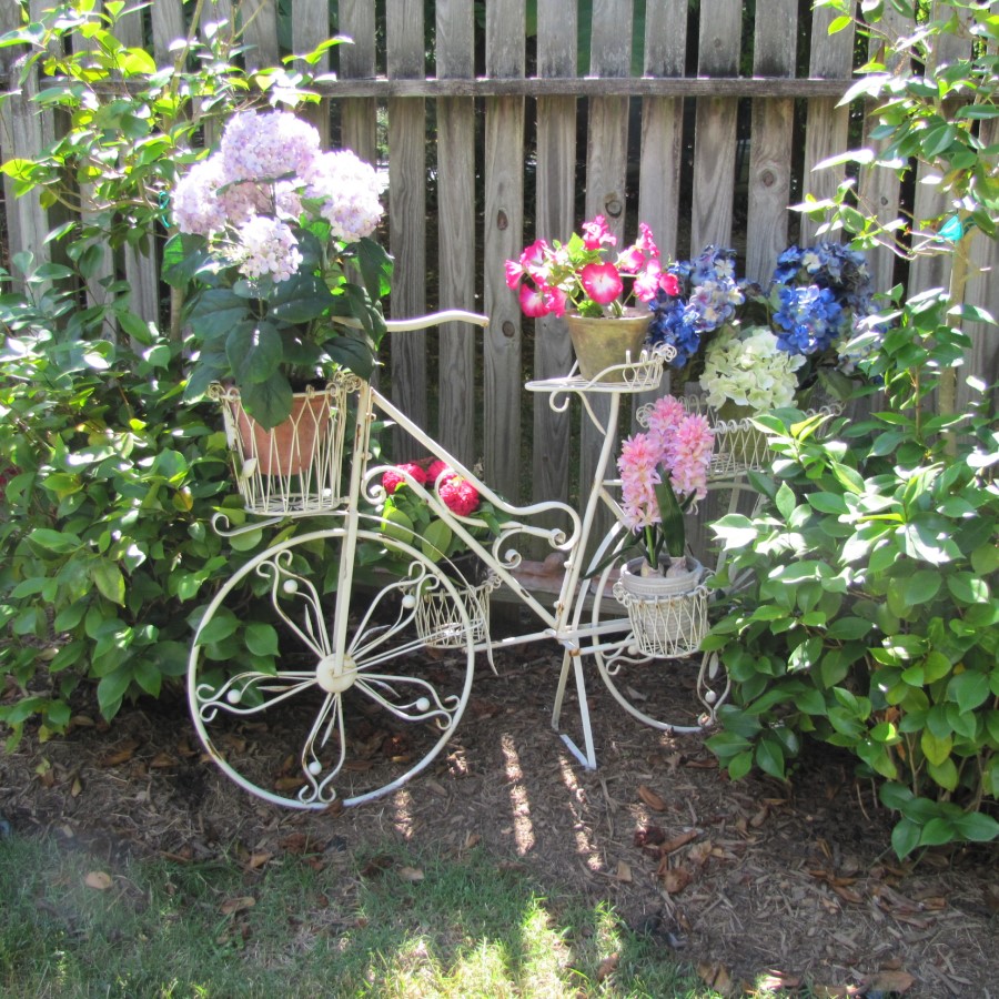 Blooming Bicycle